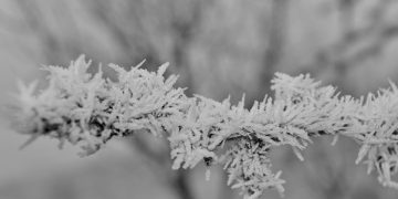 El 112 pide extremar la precaución ante el aviso naranja por nieve en el centro de Cantabria y el Valle de Villaverde
