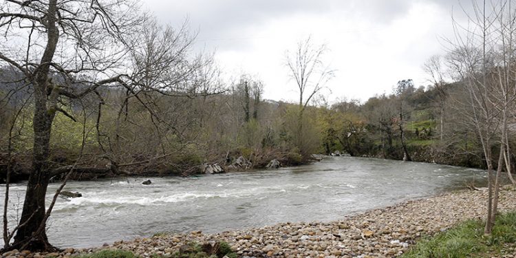 El Gobierno cántabro aprueba las normas de pesca en aguas continentales para 2026