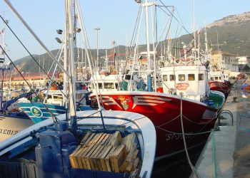 Cantabristas critica la cuota pesquera provisional de la UE por perjudicar a la flota artesanal cántabra