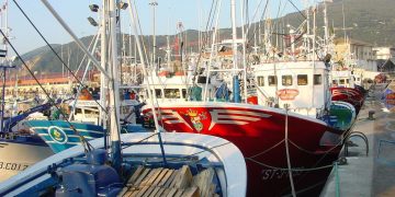 Cantabristas critica la cuota pesquera provisional de la UE por perjudicar a la flota artesanal cántabra