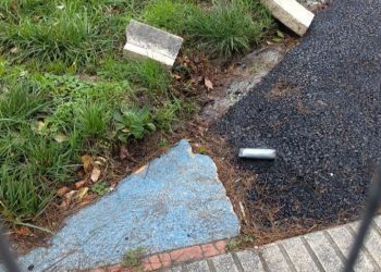 Cantabristas critica la reforma de los Jardines de Piquío por “borrar la identidad santanderina”