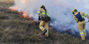 200 incendios forestales en febrero en Cantabria, 29 nuevos ayer y 11 activos