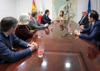 Buruaga impulsa con Fenin un plan para situar a Cantabria como polo de innovación sanitaria