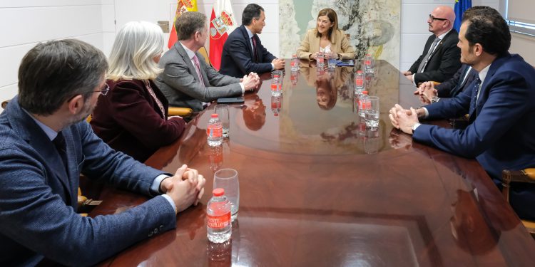 Buruaga impulsa con Fenin un plan para situar a Cantabria como polo de innovación sanitaria