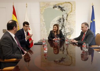 Buruaga pide a Telefónica retirar postes y cables obsoletos en Cantabria