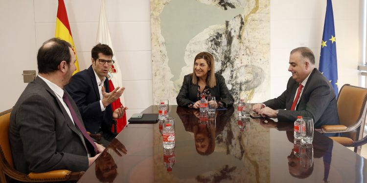 Buruaga pide a Telefónica retirar postes y cables obsoletos en Cantabria