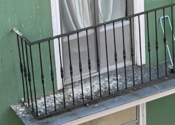 El PRC exige un plan urgente para controlar la plaga de palomas y limpiar los excrementos acumulados en Santander