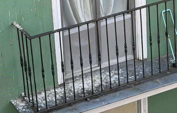 El PRC exige un plan urgente para controlar la plaga de palomas y limpiar los excrementos acumulados en Santander