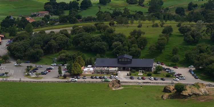 Cantur licita por 787.530 euros la renovación completa del sistema de saneamiento en Cabárceno