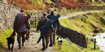 Gobierno de Cantabria confirma un caso de enfermedad de Aujeszky en un perro tras montería en Los Corrales de Buelna