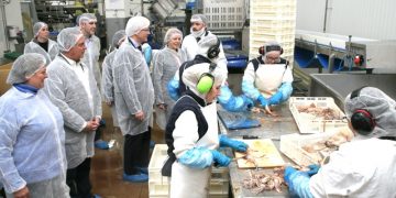 Gobierno de Cantabria concede 4,5 millones en ayudas definitivas a 31 empresas del sector pesquero