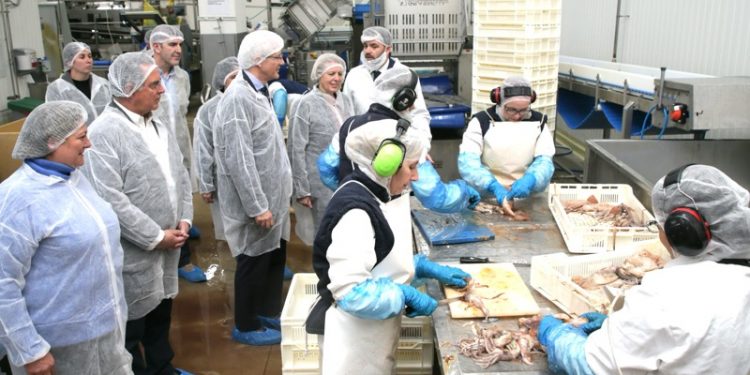 Gobierno de Cantabria concede 4,5 millones en ayudas definitivas a 31 empresas del sector pesquero