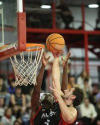 El Grupo Alega Cantabria no puede con el HLA Alicante en casa (74-82)