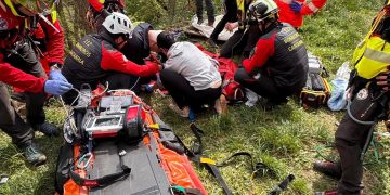 Evacuado en helicóptero un hombre de 54 años tras caer del árbol que talaba en Liébana