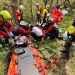 Evacuado en helicóptero un hombre de 54 años tras caer del árbol que talaba en Liébana