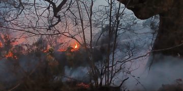 La zona occidental de Cantabria concentra 26 incendios forestales activos tras una noche crítica
