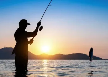 Cantabria hará gratuitas durante cinco años las licencias de caza y pesca