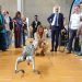 Buruaga reivindica una FP “innovadora y en constante evolución” como principal política activa de empleo en Cantabria
