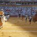 El Ayuntamiento de Santander garantiza la Feria de Santiago 2026 tras anularse la adjudicación de la organización