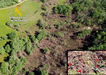 Investigan a un hombre de 70 años por un incendio forestal en Valderredible que arrasó más de seis hectáreas