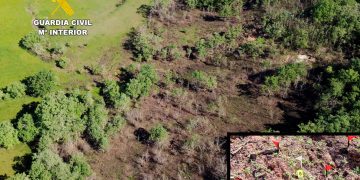 Investigan a un hombre de 70 años por un incendio forestal en Valderredible que arrasó más de seis hectáreas