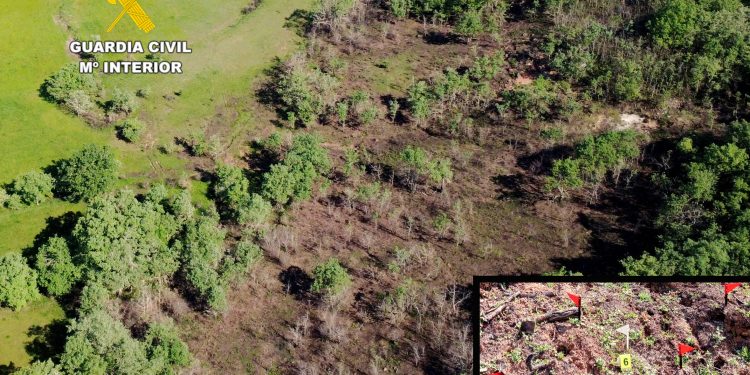 Investigan a un hombre de 70 años por un incendio forestal en Valderredible que arrasó más de seis hectáreas