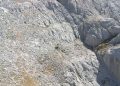 Rescatado un montañero gijonés de 62 años tras caer diez metros en Picos de Europa