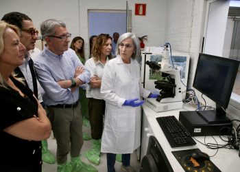 Cantabria constituye el primer Banco de Germoplasma de la Raza Tudanca para garantizar la conservación de su patrimonio genético